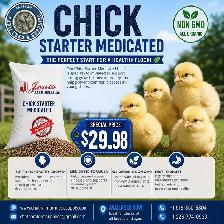 Medicated Chick Starter