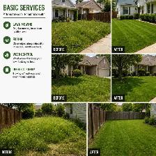 lawn care