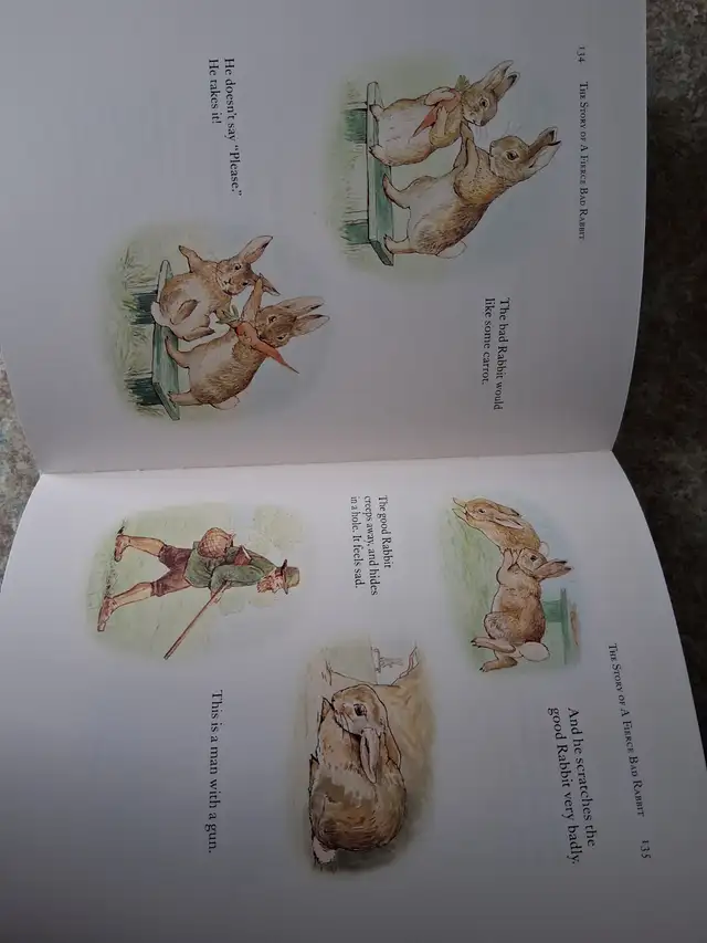 ILLUSTRATED EDITION: COMPLETE TALES OF BEATRIX POTTER'S STORIES - Photo 4