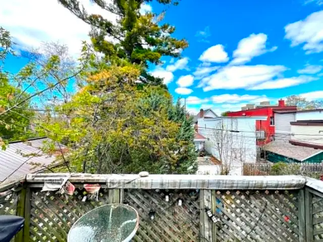 Bright and Spacious 3 bedroom available downtown - Photo 10