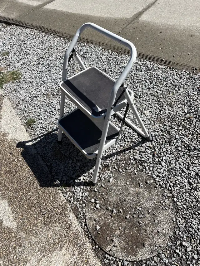 Two Step Ladder