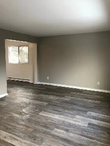 Spacious 2 BR - Great Area - Photo 3