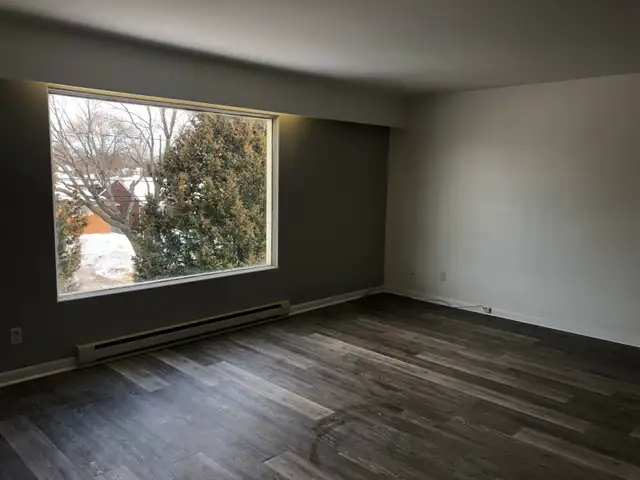 Spacious 2 BR - Great Area - Photo 4