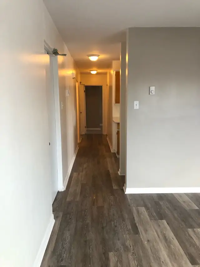 Spacious 2 BR - Great Area - Photo 5