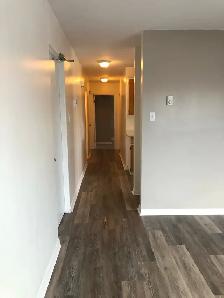 Spacious 2 BR - Great Area - Photo 5