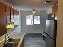 Spacious 2 BR - Great Area - Photo 6