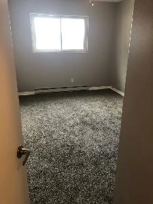 Spacious 2 BR - Great Area - Photo 7