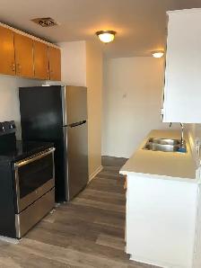 Spacious 2 BR - Great Area - Photo 8