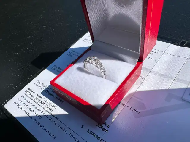#797 - 18kt White Gold, 1.00 Carat Diamond Engagement Ring Size5 - Photo 2