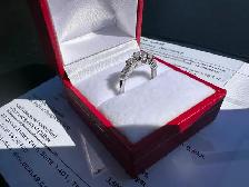 #797 - 18kt White Gold, 1.00 Carat Diamond Engagement Ring Size5 - Photo 8