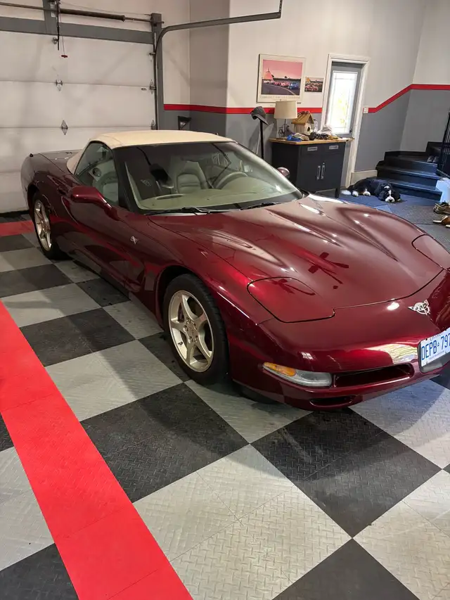 2003 Corvette 50th Anniversary