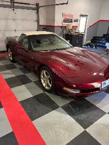 2003 Corvette 50th Anniversary