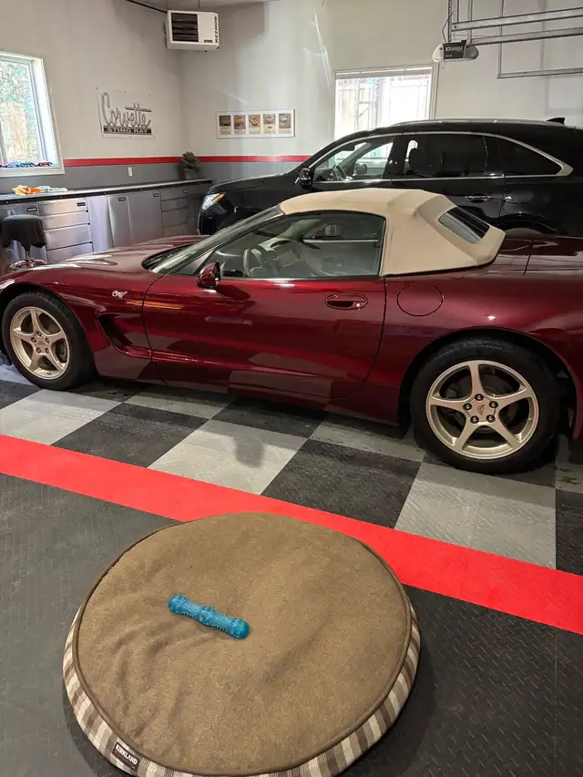 2003 Corvette 50th Anniversary - Photo 2