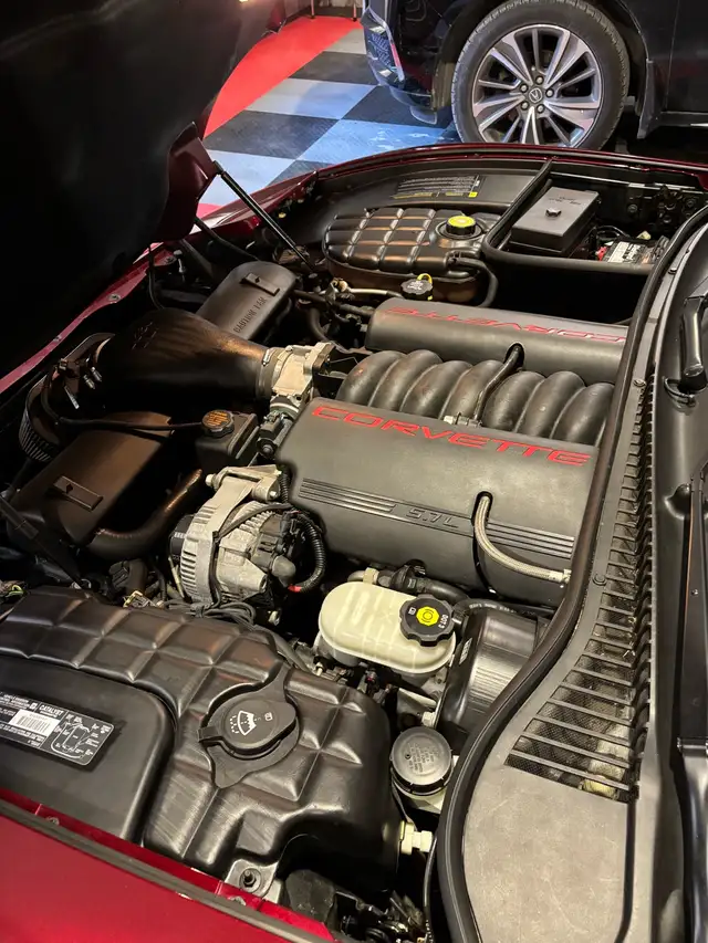 2003 Corvette 50th Anniversary - Photo 6