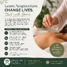 Start Your Career in Acupuncture & Natural Healthcare!