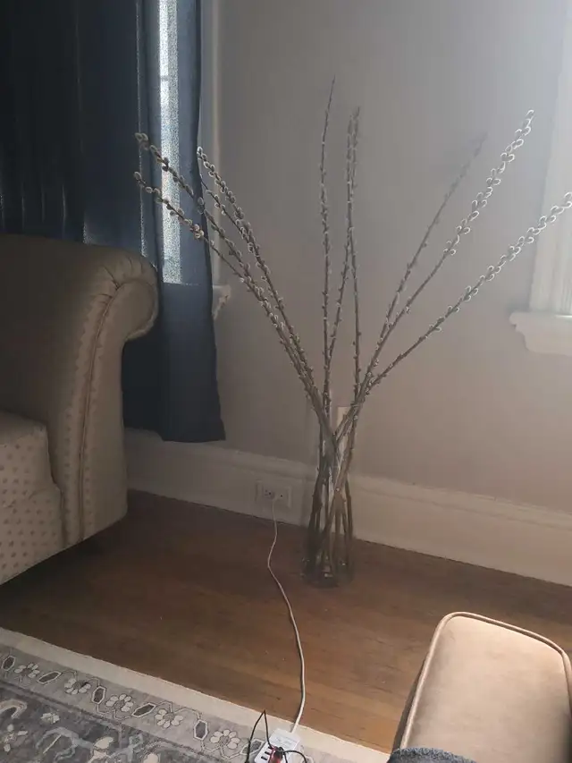 cleaning available - Photo 8