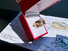 #779 - 14kt Yellow Gold, 1.16 Carat Effy Diamond Ring, Size 7