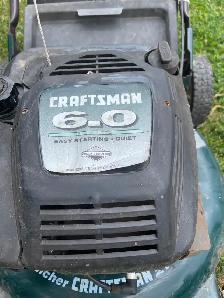 Gasoline lawn mover with bag