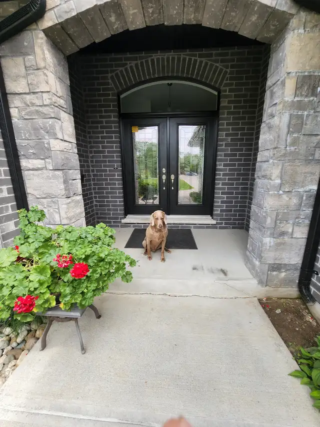 Basement suite for rent with shared access