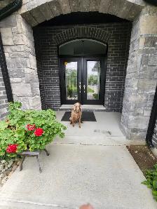Basement suite for rent with shared access
