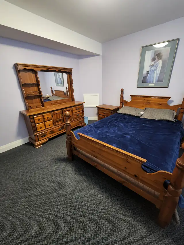 Basement suite for rent with shared access - Photo 4