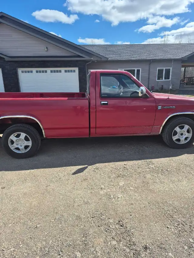For Sale