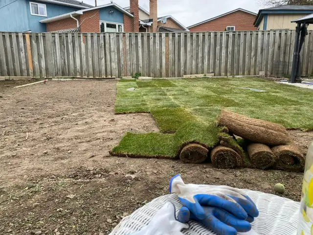 Lawn care/Spring Clean up/New Grass