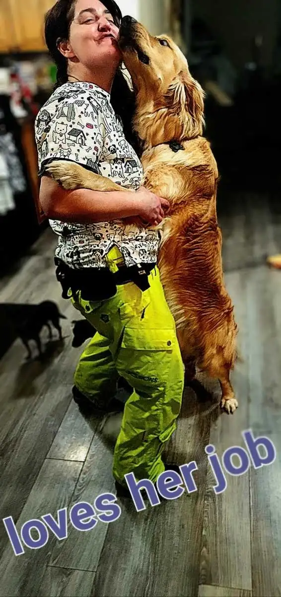 Gentle leader pet care