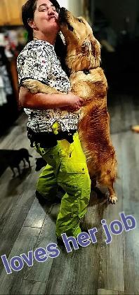Gentle leader pet care