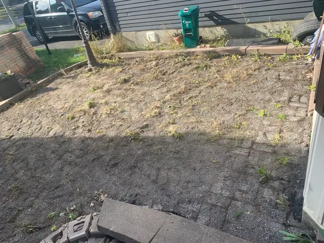 landscaping - Photo 3