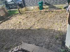 landscaping - Photo 3