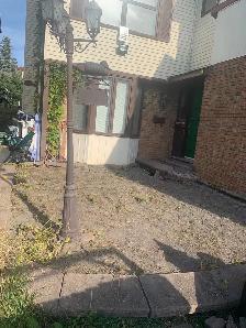 landscaping - Photo 4
