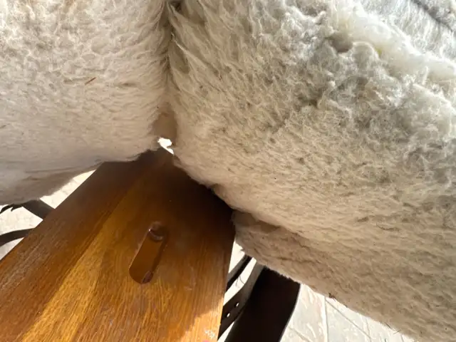 Breaking Saddle - Photo 2