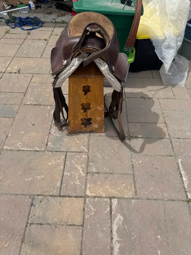 Breaking Saddle - Photo 3