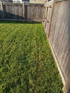 Offering lawn mowing and lawn care