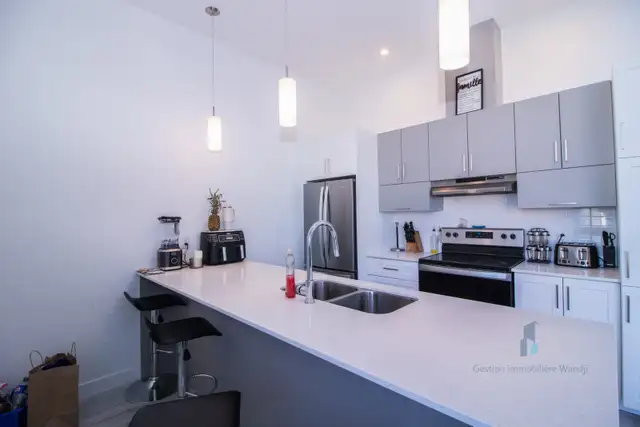 Apartement à louer - 101 Marguerite-Maillé #402 - Photo 7