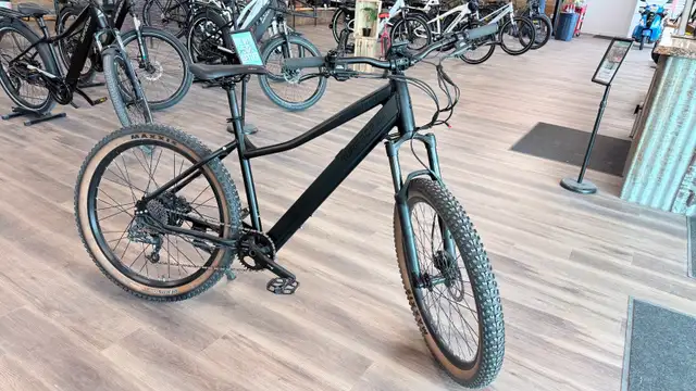 Surface 604 Shred HARDTAIL eBike - Photo 3