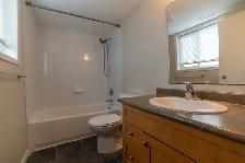 1 & 2 Bedroom Apartment Units for Rent - Photo 12