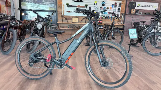 Refurbished Shred Surface 604 eBike