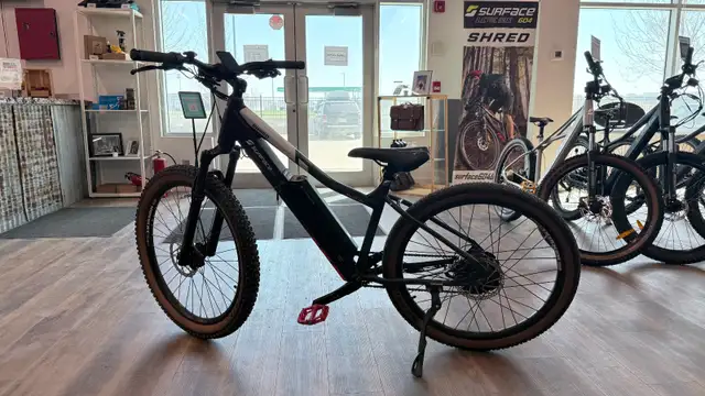Refurbished Shred Surface 604 eBike - Photo 2