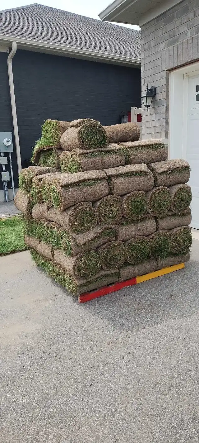 one skid (87 pieces) fresh sod $100.00