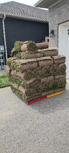 one skid (87 pieces) fresh sod $100.00