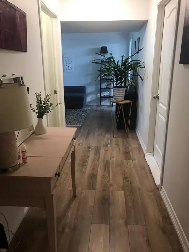 Basement for Rent – Available from June 1 - Photo 3