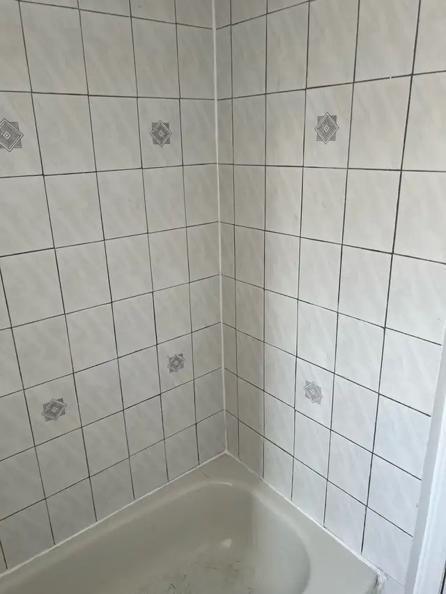 Re-Caulking Shower Bathtub Sink $100 - Photo 2