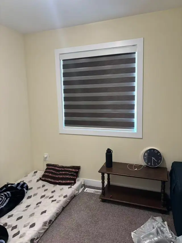 Modern Zebra Blinds • Factory Direct • Better Prices - Photo 4