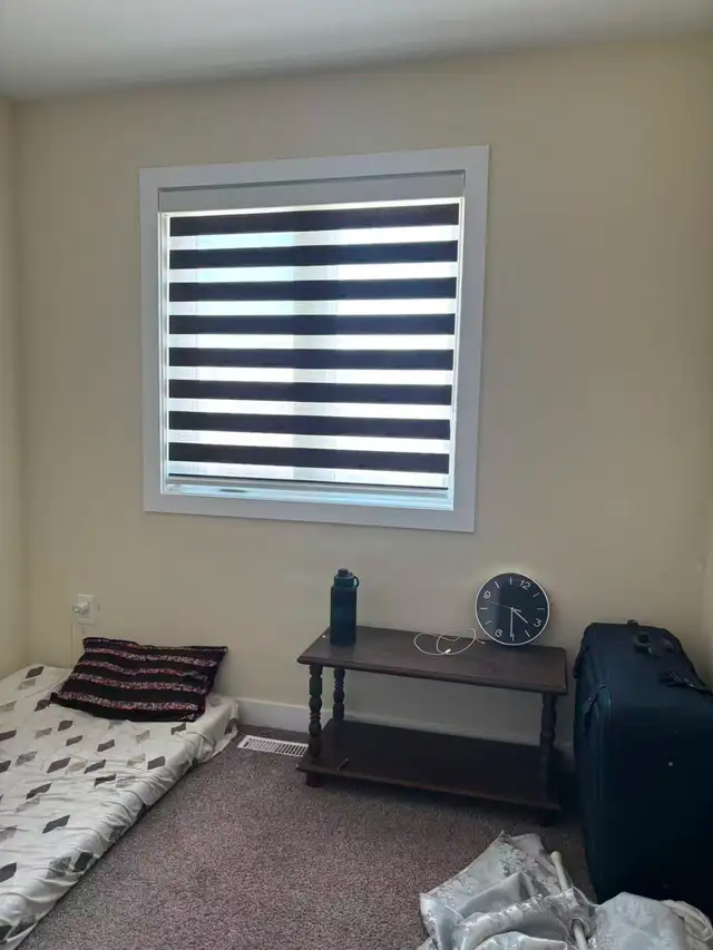 Modern Zebra Blinds • Factory Direct • Better Prices - Photo 6