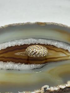 Dome cocktail Diamond Ring - Photo 3