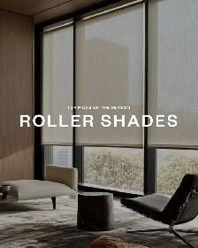 Upgrade Your Windows with roller shade Zebra Blinds