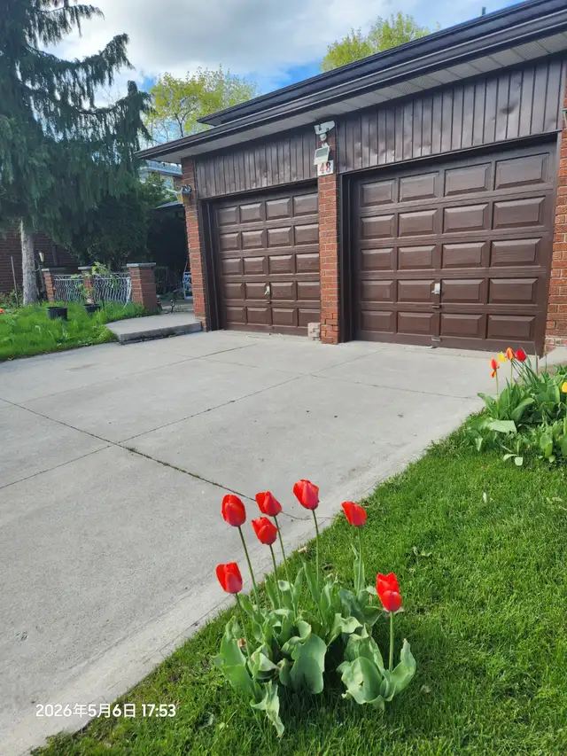 New separate entrance BSM $2000 @Dufferin & Steeles - Photo 3