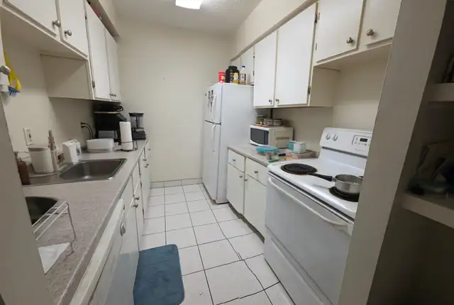 Whole 1 BHK  Apartment for sublet (Short-term) - Photo 2